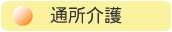 �ʏ����