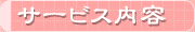 �T�[�r�X���e��