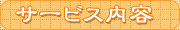 �T�[�r�X���e��