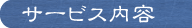 �T�[�r�X���e