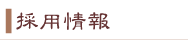 �̗p���
