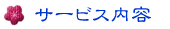 �T�[�r�X���e