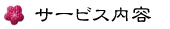 �T�[�r�X���e
