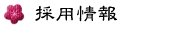 �̗p���