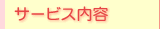 �T�[�r�X���e