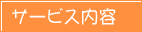 �T�[�r�X���e