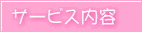 �T�[�r�X���e