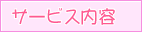 �T�[�r�X���e