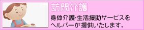 �K����T�[�r�X