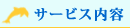 �T�[�r�X���e
