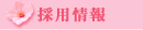 採用情報