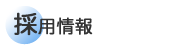 �̗p���