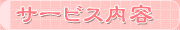 �T�[�r�X���e��