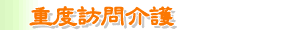 重度訪問介護