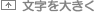 文字を大きく