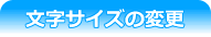文字サイズの変更