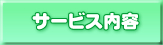 �T�[�r�X���e