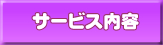 �T�[�r�X���e