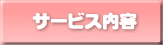�T�[�r�X���e