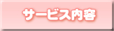 �T�[�r�X���e