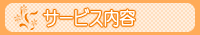 �T�[�r�X���e