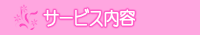 �T�[�r�X���e