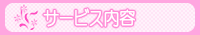 �T�[�r�X���e