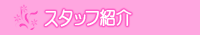 �X�^�b�t�Љ�