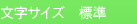 文字サイズ標準