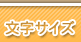 �����T�C�Y